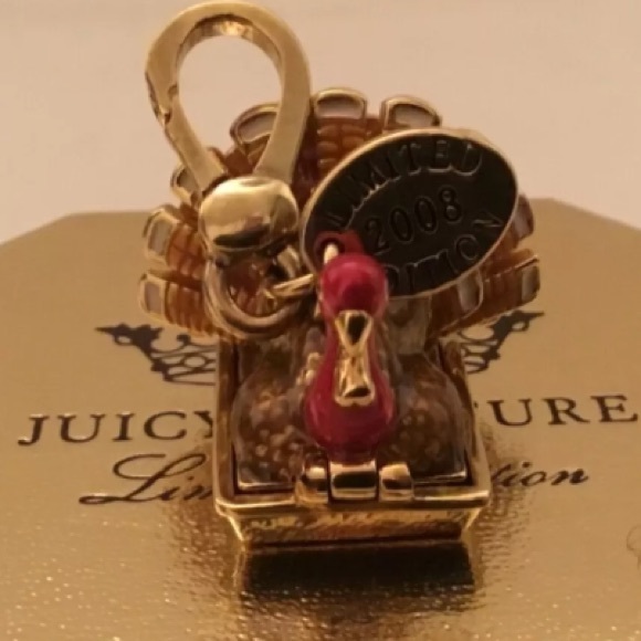 New Juicy Couture TURKEY 🦃 Charm THANKSGIVING HOLIDAY - Picture 4 of 9
